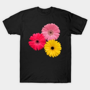 gerbera flowers, daisies, gerberas, daisy, blooms T-Shirt